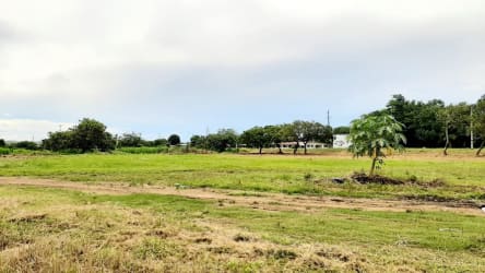 Development Land on Interamericana in Aguadulce Coclé - - View 8