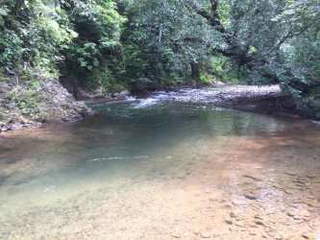 Agricultural Farm / Ranch for Sale in Soná District - 5 bedrooms