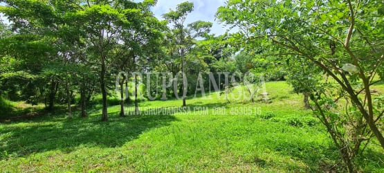 Green open countryside lot with mature trees in mountain setting Sorá Chame Panama