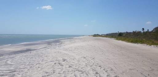 Coastal beachfront lot with ocean horizon and tropical vegetation in Buenaventura