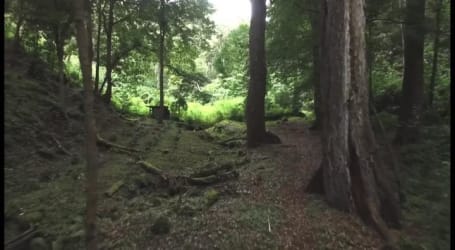 Clear mountain spring creek flowing through dense green coffee farmland Boquete Panama