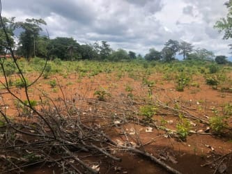 Open flat plot suitable for housing or agricultural project, mountain views, Dolega Chiriquí