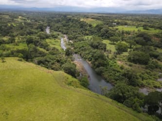 Large riverfront land parcel with pasture and woodland areas in Dolega, Chiriquí Panama