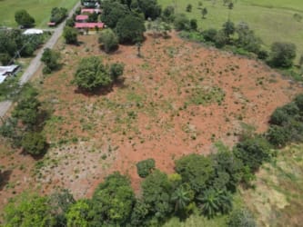Open flat rural land with surrounding trees suitable for housing project or estate, Dolega Panama