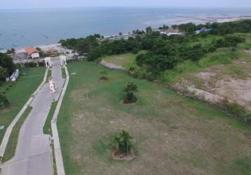 Lush green open land, paved roads, palm trees, sea view PH Coral Fontanella San Carlos Panama