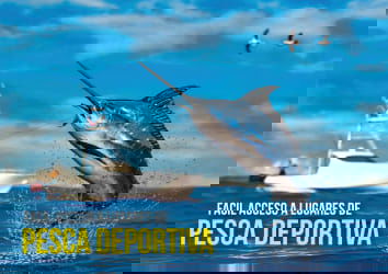 Aerial of Pacific coast beach and coastal forest on 414ha eco-resort land Panama