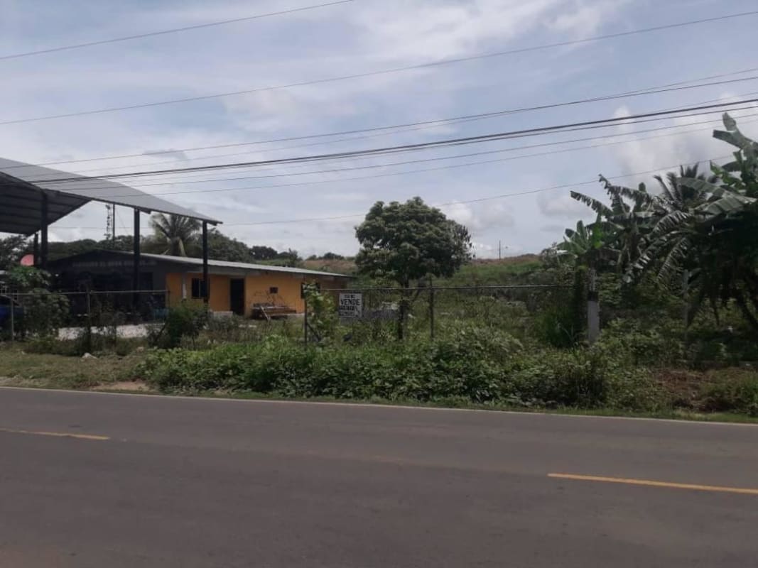 Single-story house with large metal roof extension and fenced lot on paved road in Aguadulce