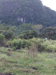 Large open pasture with grassy fields and hills farm land Sorá Panama