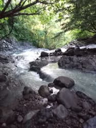 Forest with flowing rocky stream inside farm Sorá Chame Panama