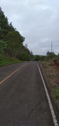 Paved rural road with trees and cloudy sky in Chicá Panama land for sale