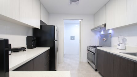 Contemporary kitchen with granite tops stainless appliances in Forest Towers Panama