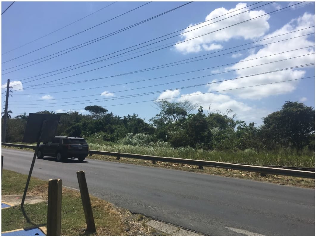 Asphalt road with nearby green vegetation ideal for development along Omar Torrijos Ave Panama