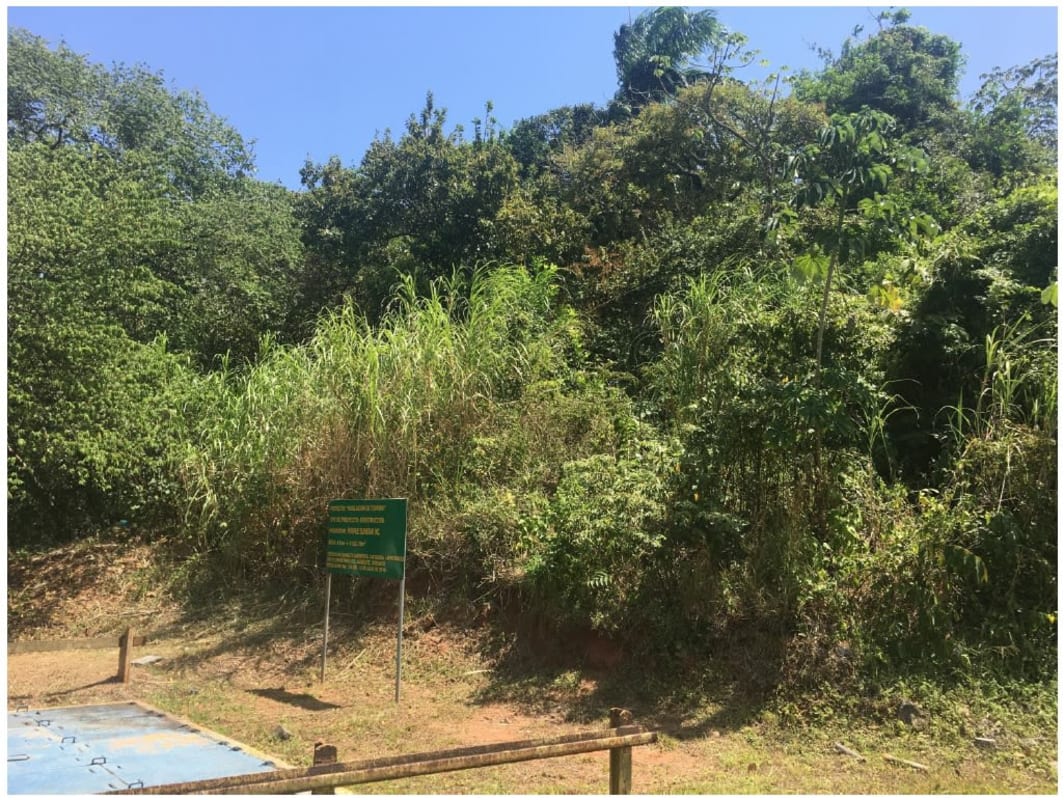 Dense vegetation surrounding industrial lots with signposts near Omar Torrijos Panama
