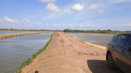 Dirt road with shrimp ponds and rural land Aguadulce Coclé Panama farm for sale