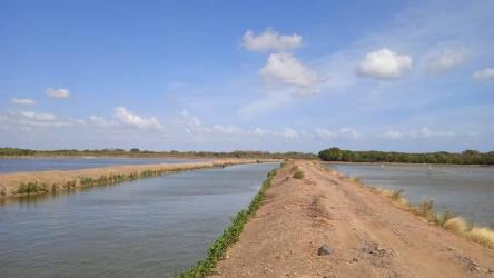 Fish farming ponds with natural landscape rural Aguadulce Panama