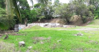 Land for Sale in Barú - 0 bedrooms