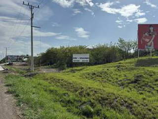 Commercial Land for Sale in El Roble - 0 bedrooms