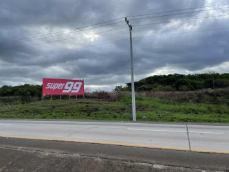 Spacious 16,500 m2 commercial lot with visible billboard along Panamericana Highway Aguadulce Panama