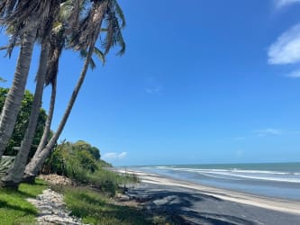 Beautiful ocean view from beachfront property with tropical vegetation in Costa Esmeralda San Carlos Panama.