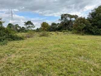 Wide pasture and trees on farmland with cloudy sky in Boquerón Chiriquí Panama