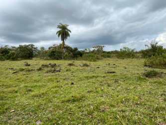 22.5 Hectare Flat Farm Land with Creek Boquerón Chiriquí