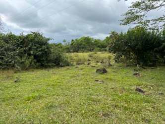Grassy open farm plot with bushes and trees under cloudy sky in Chiriquí Panama