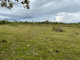 Vacant farmland with natural vegetation and mountains in the background in Boquerón Chiriquí Panama