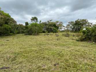 Grassy lot with scattered tree line and cloudy skies in Boquerón Chiriquí Panama
