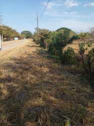 Countryside lot with unpaved simple road access in Caleta Bejuco Panama