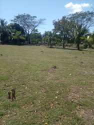 Large vacant lot perfect for countryside home or agriculture in Bejuco Panama