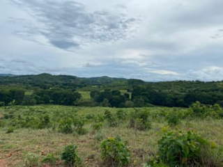 Farm / Agricultural Land with Residences for Sale in El Cristo - 5 bedrooms