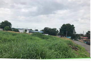 Land / Lot for Sale in Pedregal - 0 bedrooms