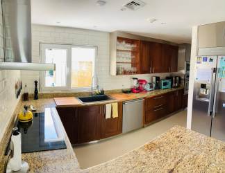 Private swimming pool surrounded by lush garden in rented house Tucan Country Club Panama Pacifico