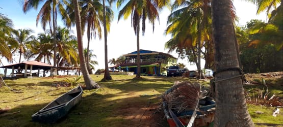 Sandy beach and palm trees on prime beachfront land for sale in Panama