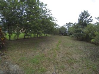 Flat natural plot with mature trees, access road in El Espino Panama