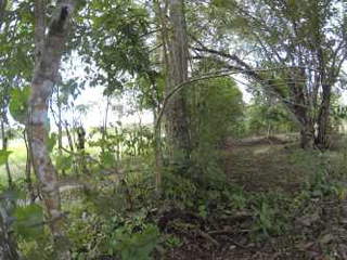 Land/Lot for Sale in San Carlos - 0 bedrooms
