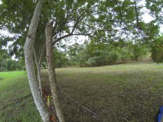 Grassy natural lot with mature trees in gated El Espino Panama