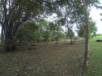 Expansive cleared yard with mature trees in natural countryside El Espino Panama
