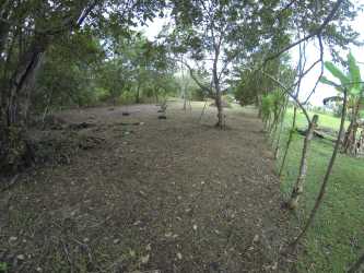 Open lot with mature trees perfect for building in El Espino Panama