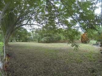 Large natural lot with shady trees and fence in El Espino Panama