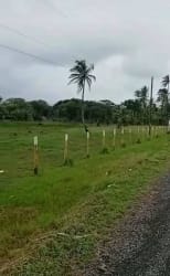 Large flat grassy lot near Caribbean beach in Miguel de la Borda Donoso with palm trees