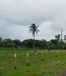 Aerial photo of coastline beachfront and residential plots in Miguel de la Borda Donoso Colón Panama