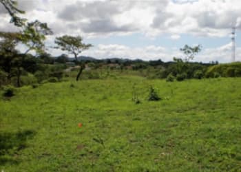 Satellite aerial image outlining El Hatillo development lot with nearby roads Santiago Panama