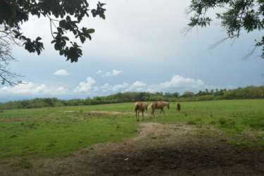 Large open field beside highway with fencing and power lines Interamericana Anton Panama
