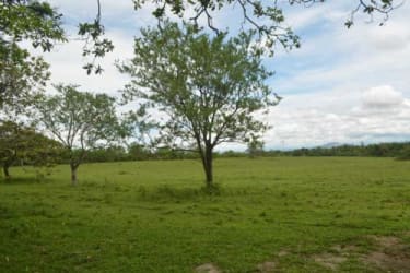 Expansive open countryside with rolling terrain and trees on land in Coclé Panama