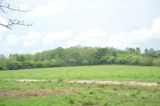 Land for Sale in Antón - 0 bedrooms