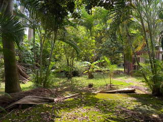 Commercial Office Complex for Rent in Ancón - 0 bedrooms