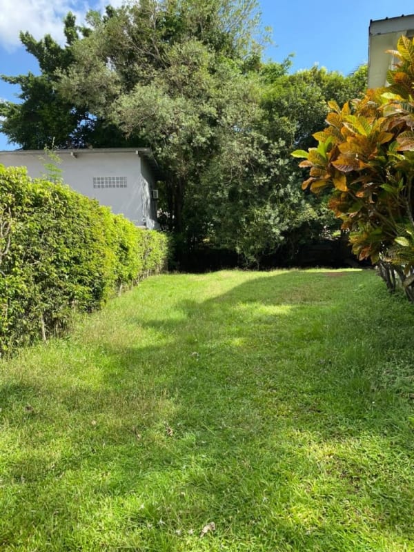 Well-maintained grassy backyard with hedges and mature trees at Ancón commercial property Panama