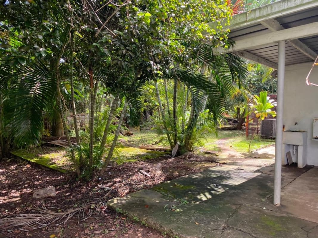 Two-story commercial building with garage doors, mature trees and for rent signs Ancón Panama City