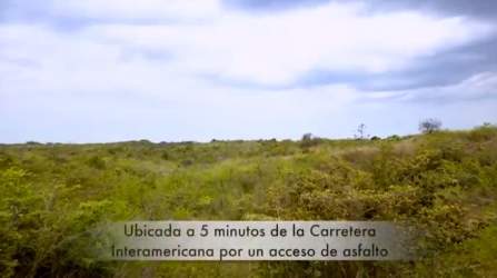 Aerial of green landscape next to upcoming residential developments near Piedras Gordas beach Coclé